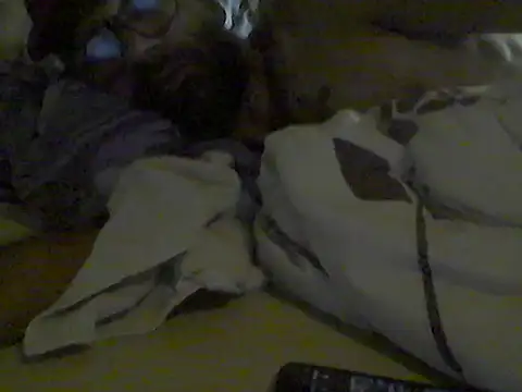 pigDany webcam
