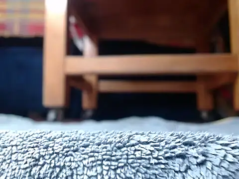 alphaswitchard webcam