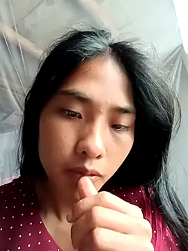 Hoa-tuylip
