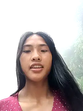 Hoa-tuylip live