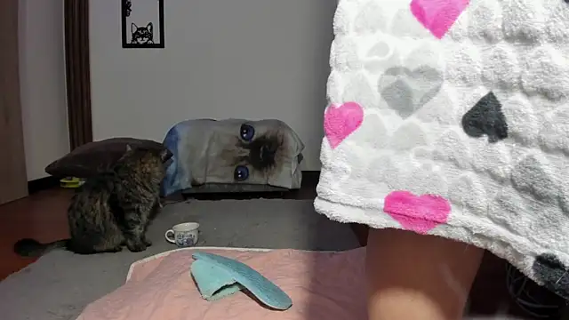 moonligth18 webcam