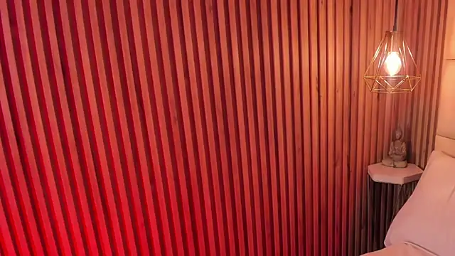 VenuzSofia webcam