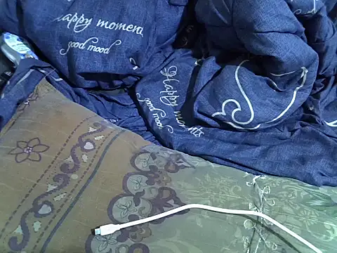 Avha1523 webcam