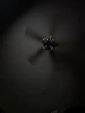 iker_sdrisn2006 webcam