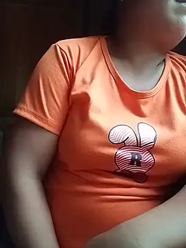 Ip34 webcam