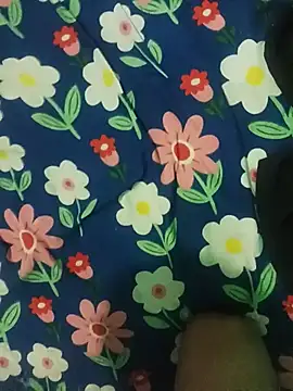 High6954 webcam