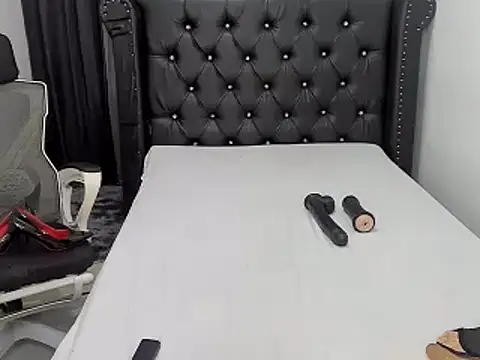 HeylieStone webcam