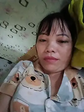 Sana-vn webcam