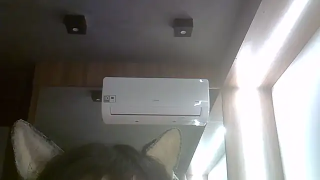 SkinnyKitten webcam