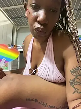 MsSapPhire500 webcam