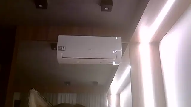 SkinnyKitten webcam