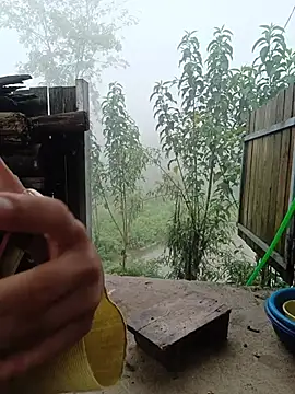 Linda-yiyi webcam