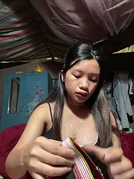 beobeo_2xx webcam