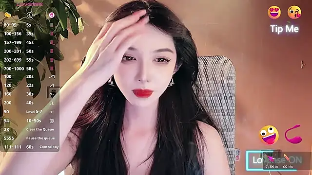 vyizh- webcam