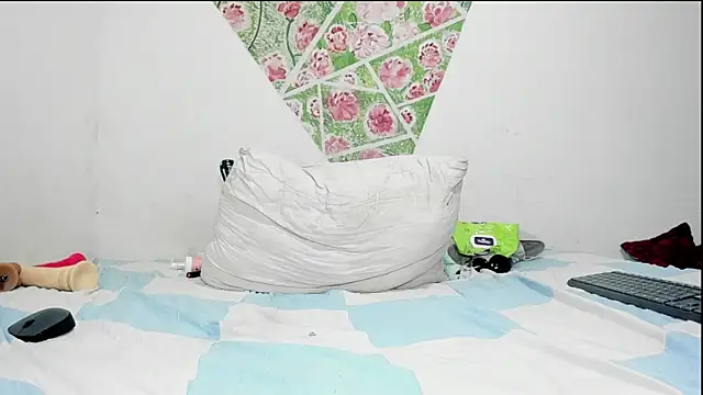 Agata_prg webcam