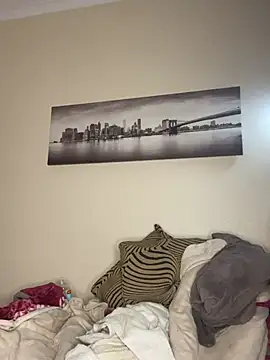 BigS234 webcam