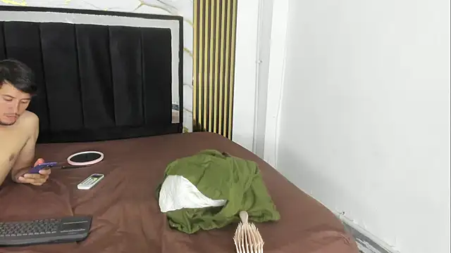 lau_and_andy webcam
