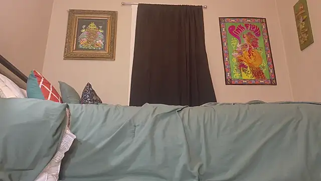 Emihaze webcam