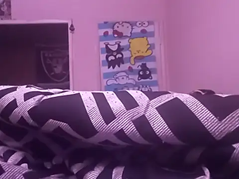 Blkstylion webcam