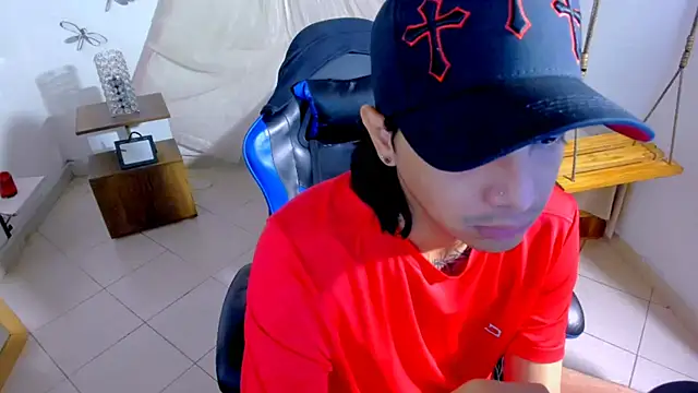 Brand_habes webcam