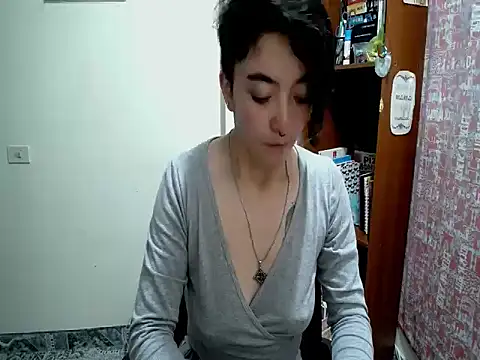 Came-II webcam