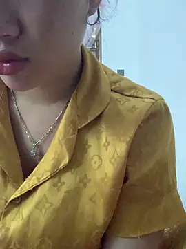 Nguyenha11 webcam