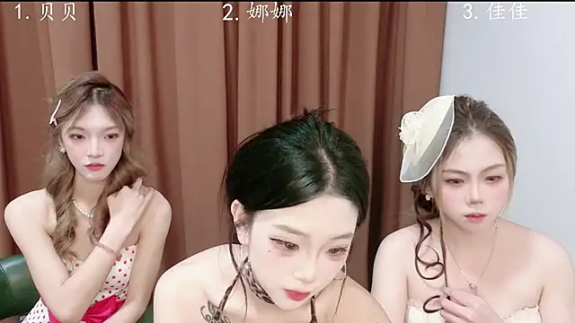 MS-888 webcam