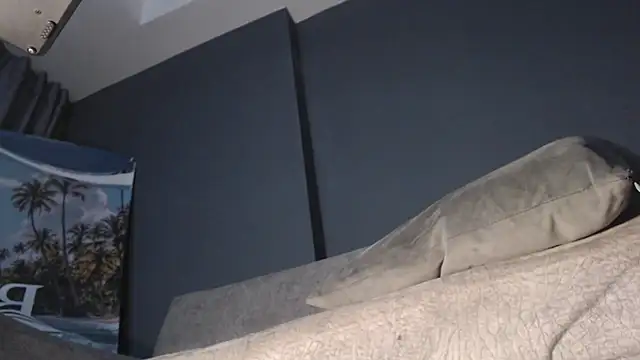 dirty_27cms webcam