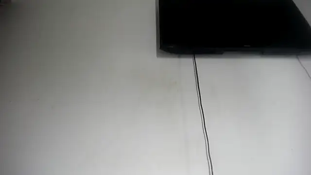 Fox_Loves