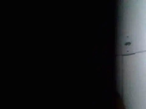 Felipeperdoso webcam
