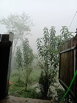 Linda-yiyi webcam