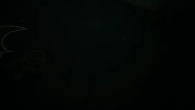 icebergslim281 webcam
