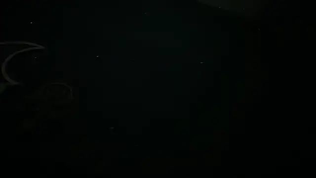 icebergslim281 webcam