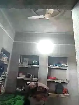 Loomaraj webcam