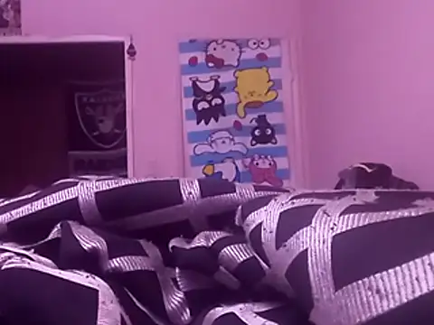 Blkstylion webcam