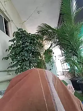 indianbull2023 webcam