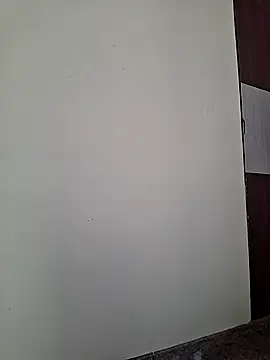 LundChodumera webcam