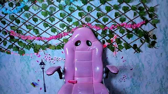 Pamesmith webcam