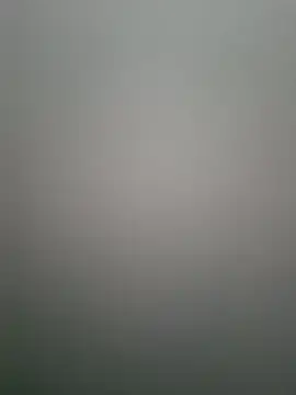 NiceBadgera webcam