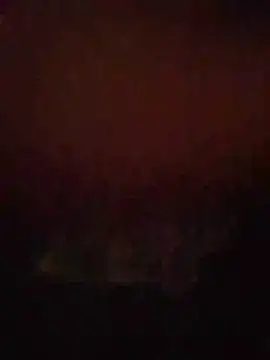 S7LEALTADPERVLIMA7 webcam