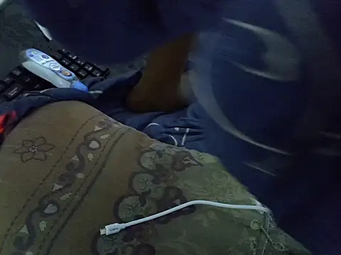 Avha1523 webcam