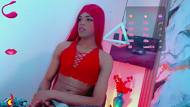 Deivelys webcam
