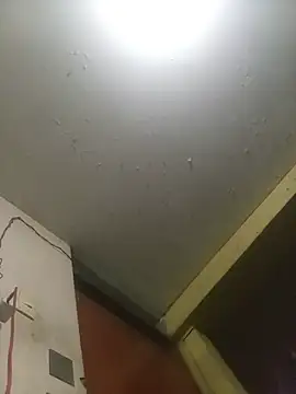 bxbicho20 webcam