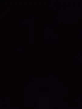 IsaxFox03 webcam