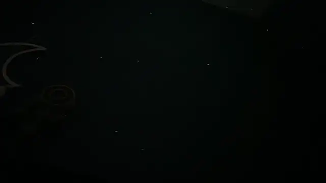 icebergslim281 webcam
