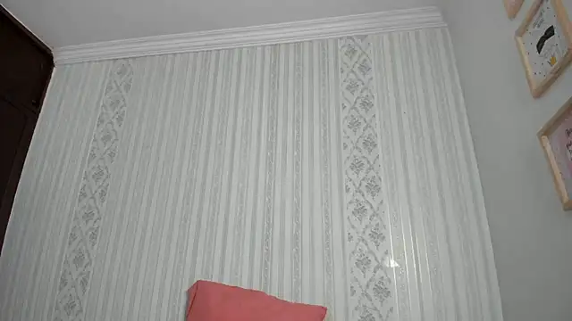 Carnetine webcam