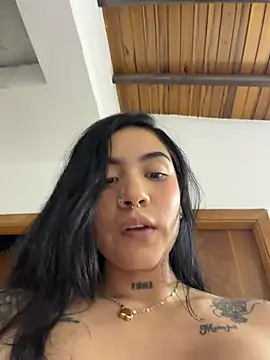liahouses webcam