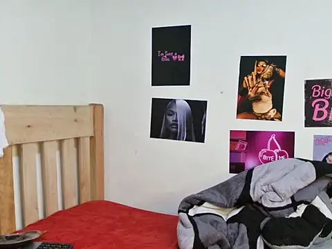 Aria_ah webcam
