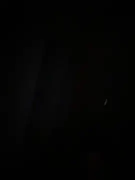 NitaDixon webcam