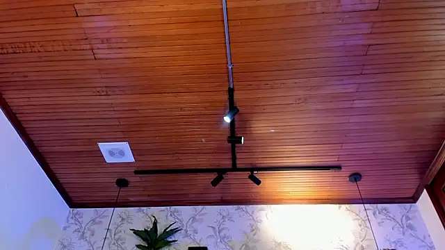 Dustin_Sonne webcam